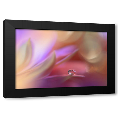 Untitled Black Modern Wood Framed Art Print with Double Matting by Nan, Juliana