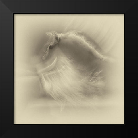 White On White Black Modern Wood Framed Art Print by Malovrh, Milan