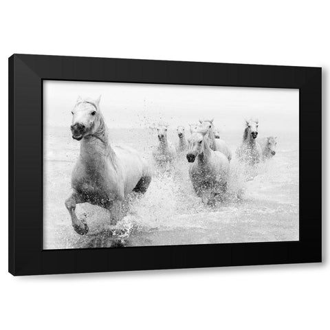 We Are Coming Black Modern Wood Framed Art Print with Double Matting by Zvelebil Phd, Marketa