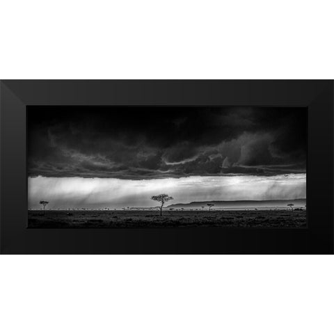 Serengeti Storm - Monochrome Black Modern Wood Framed Art Print by C. Sink, Jeffrey