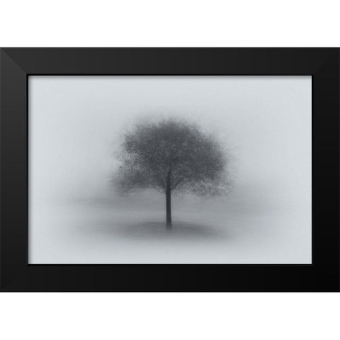 Tree In Fog Black Modern Wood Framed Art Print by Ning, Aidong