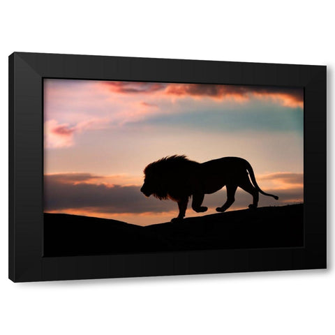 Sunset In The Serengeti Black Modern Wood Framed Art Print with Double Matting by Vigo, Mario