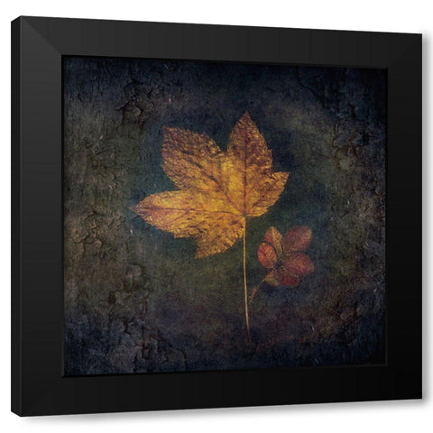 Embedded Black Modern Wood Framed Art Print with Double Matting by Kiral, Cicek