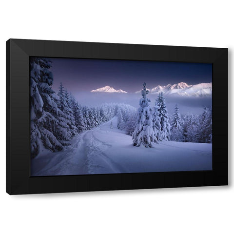 In The Winter Black Modern Wood Framed Art Print by Nienartowicz, Karol