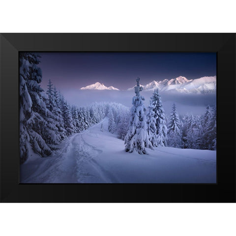 In The Winter Black Modern Wood Framed Art Print by Nienartowicz, Karol