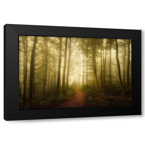 Charm Of The Ephemeral Black Modern Wood Framed Art Print by Maier, Norbert