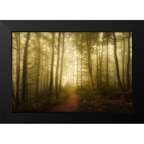 Charm Of The Ephemeral Black Modern Wood Framed Art Print by Maier, Norbert
