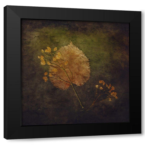 Embedded Black Modern Wood Framed Art Print with Double Matting by Kiral, Cicek