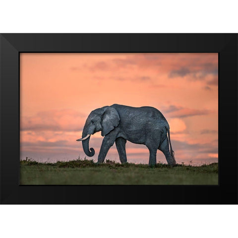 Elephant At Dusk Black Modern Wood Framed Art Print by Ortega, Xavier