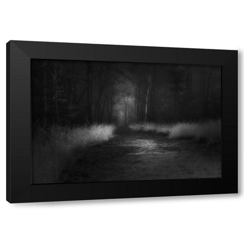 Shades In Black Black Modern Wood Framed Art Print with Double Matting by Dingemans, Saskia