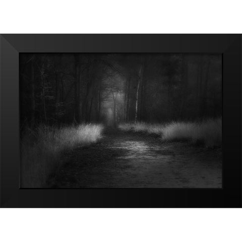 Shades In Black Black Modern Wood Framed Art Print by Dingemans, Saskia