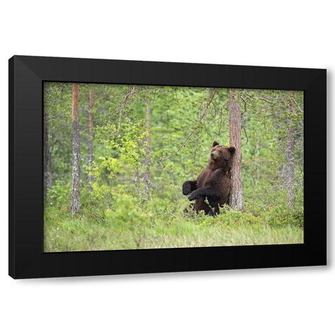 Relax Black Modern Wood Framed Art Print with Double Matting by Pozzi, Marco