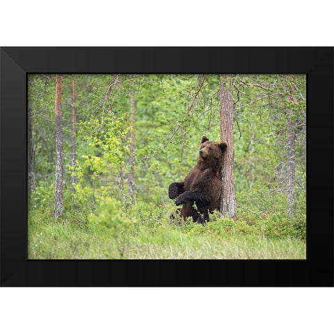 Relax Black Modern Wood Framed Art Print by Pozzi, Marco