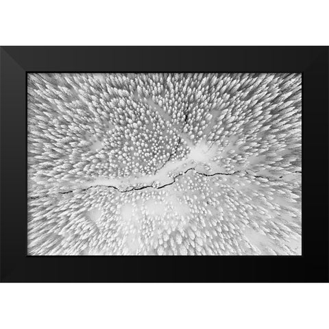 Winter Black Modern Wood Framed Art Print by Hessel, Christoph