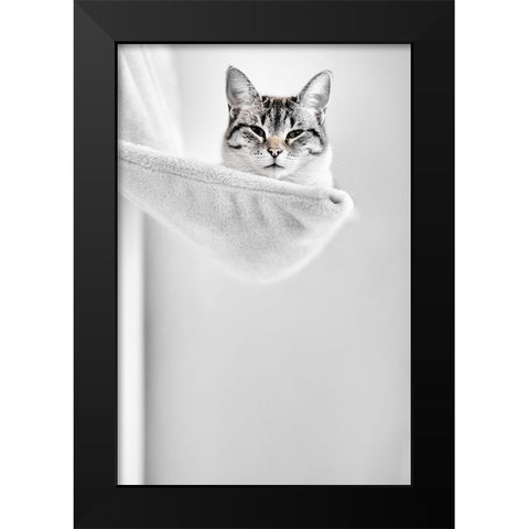 Elevated Cat Black Modern Wood Framed Art Print by Danek, Pascal