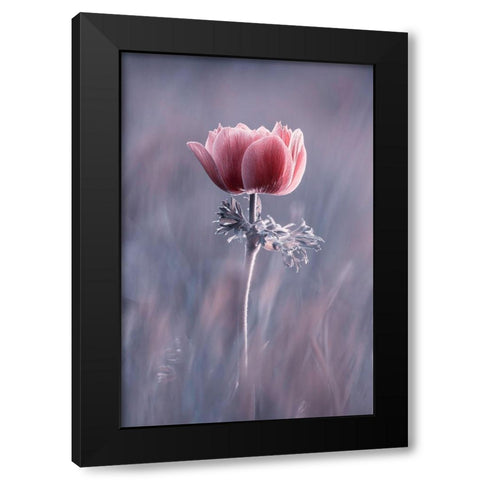 Pink ! So What ? Black Modern Wood Framed Art Print with Double Matting by Bravin, Fabien