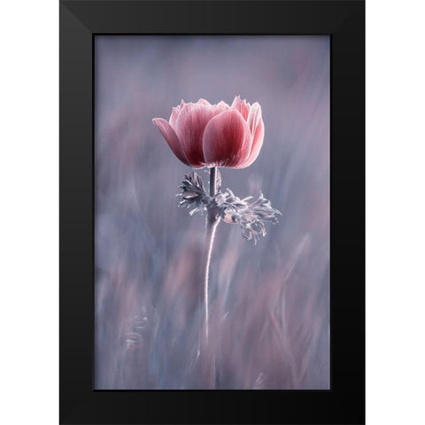 Pink ! So What ? Black Modern Wood Framed Art Print by Bravin, Fabien