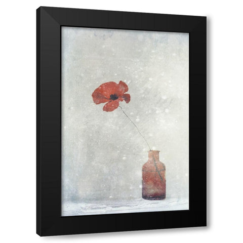 Winter Poppy Black Modern Wood Framed Art Print with Double Matting by Devos, Delphine