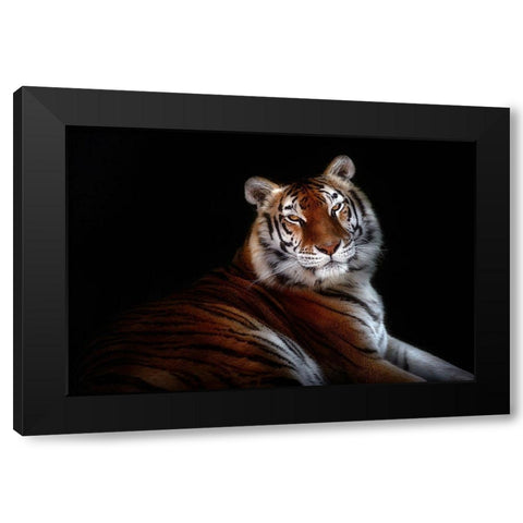 Serenity Black Modern Wood Framed Art Print by Pascual Buye, Santiago