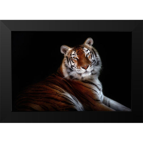 Serenity Black Modern Wood Framed Art Print by Pascual Buye, Santiago