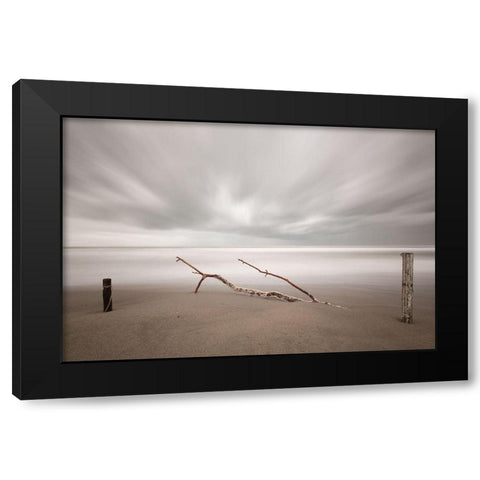 In The Wind Black Modern Wood Framed Art Print by Della Latta, Massimo