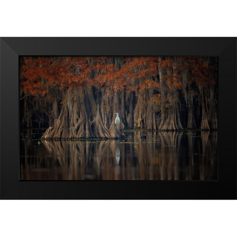 Tranquil Lake Black Modern Wood Framed Art Print by Zheng, Michael