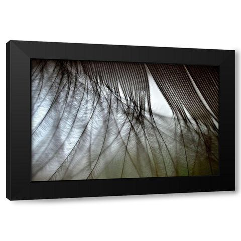 When Dreams Meet Reality Black Modern Wood Framed Art Print by Melnotte, Mike