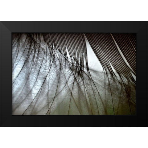 When Dreams Meet Reality Black Modern Wood Framed Art Print by Melnotte, Mike