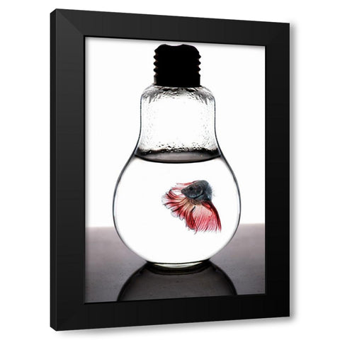 Betta Fish Red Black Modern Wood Framed Art Print by Nasution, Girdan