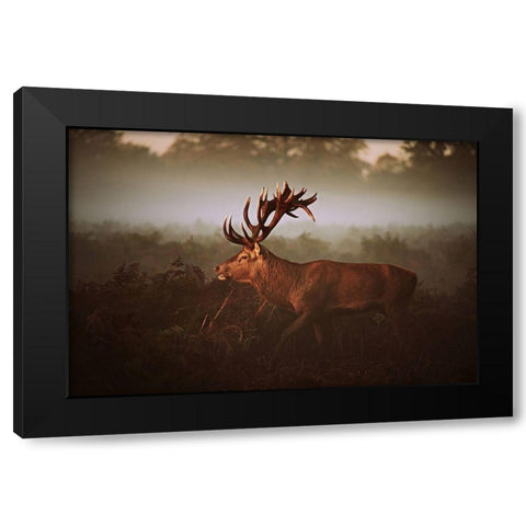 Lvg Black Modern Wood Framed Art Print by Fabrowski, Robert