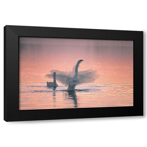 Dancing For You Black Modern Wood Framed Art Print by Ning, Aidong