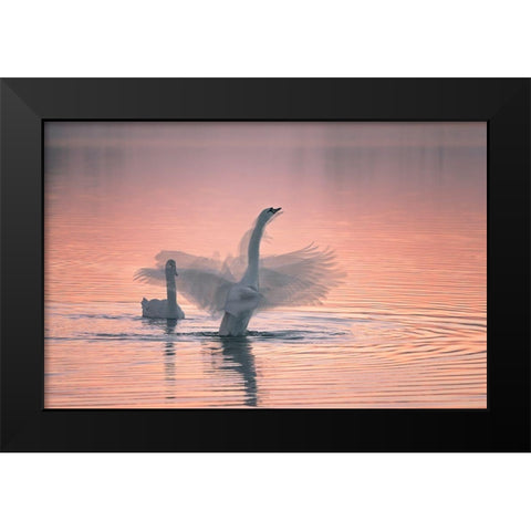 Dancing For You Black Modern Wood Framed Art Print by Ning, Aidong