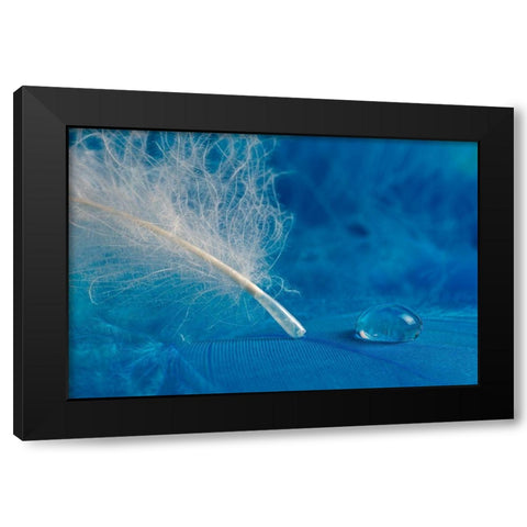 Drop Black Modern Wood Framed Art Print with Double Matting by Pavlasek, Tom