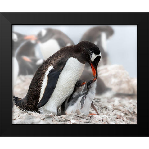 Qi Am Hungryq Black Modern Wood Framed Art Print by And Wei, Siyu