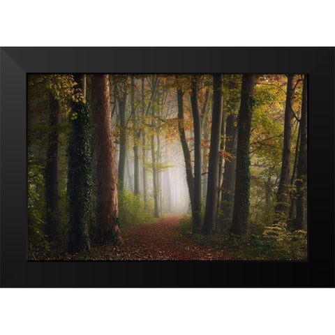 Autumn Colorful Forest Black Modern Wood Framed Art Print by Ye