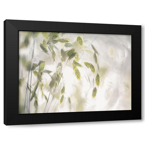 Grass Blades Black Modern Wood Framed Art Print by Talen, Nel