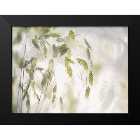 Grass Blades Black Modern Wood Framed Art Print by Talen, Nel