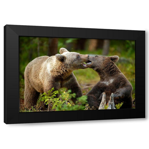 Mouth-To-Mouth Black Modern Wood Framed Art Print with Double Matting by Merino, Nicolas