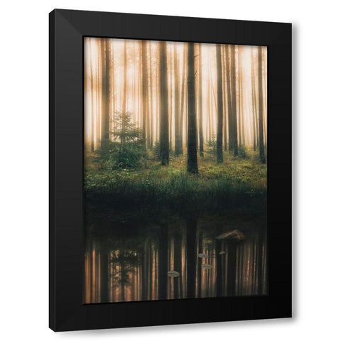 Reflection In The Foggy Forest Black Modern Wood Framed Art Print by Lindsten, Christian