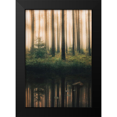 Reflection In The Foggy Forest Black Modern Wood Framed Art Print by Lindsten, Christian