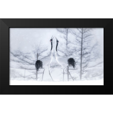 In Love Black Modern Wood Framed Art Print by Deng, Larry