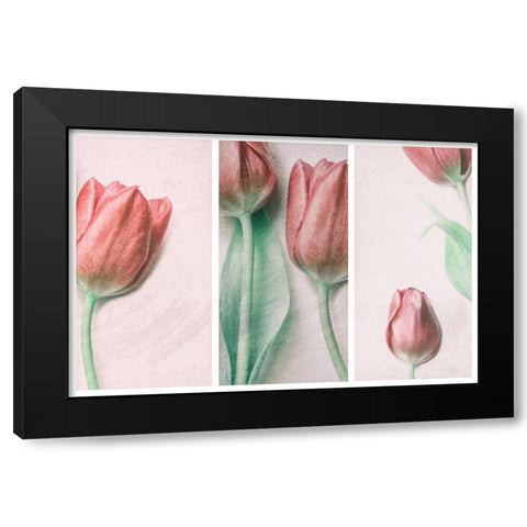 Red Elegance Black Modern Wood Framed Art Print with Double Matting by Devos, Delphine