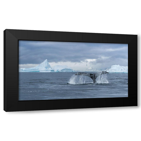 Solo Dance Black Modern Wood Framed Art Print by Liu, Richard