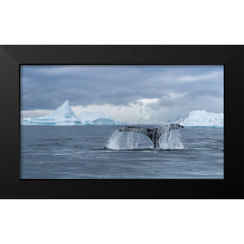 Solo Dance Black Modern Wood Framed Art Print by Liu, Richard