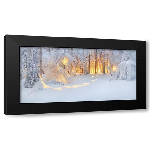 Bright Spots Black Modern Wood Framed Art Print by Jochen, Burger