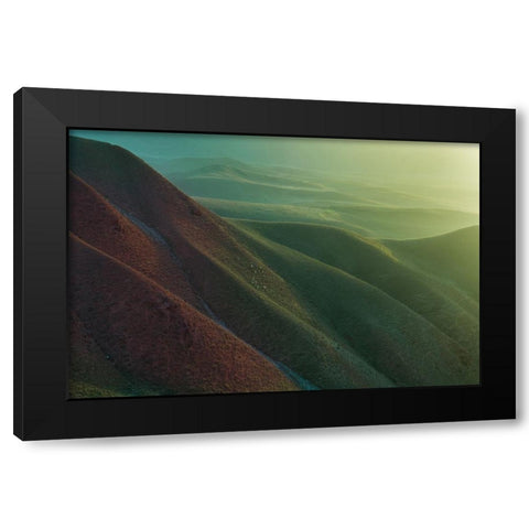 Natural Grassland Black Modern Wood Framed Art Print with Double Matting by Simoon