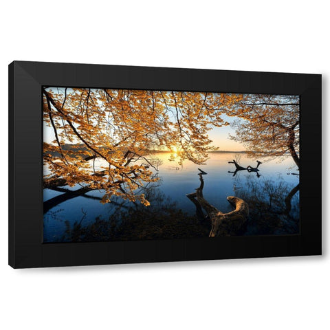 Autumn Morning Black Modern Wood Framed Art Print by Keller