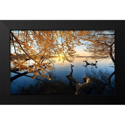 Autumn Morning Black Modern Wood Framed Art Print by Keller