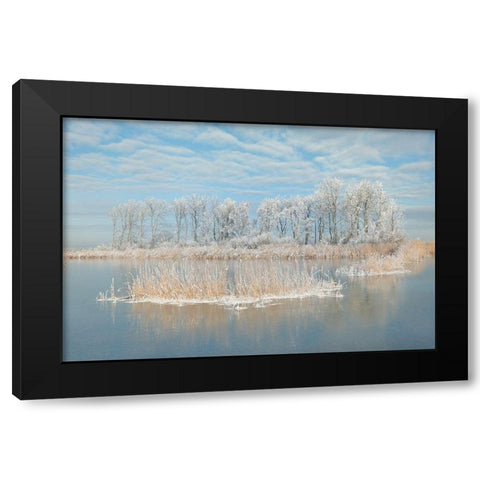 Winter Black Modern Wood Framed Art Print by Haaksma, Piet