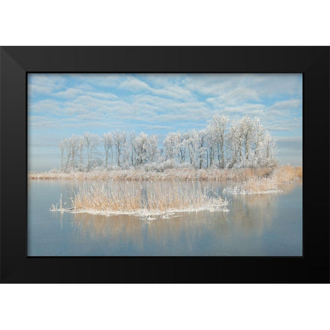 Winter Black Modern Wood Framed Art Print by Haaksma, Piet